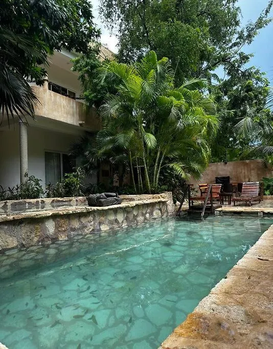 Casita Maya Loft Con Jacuzzi Privado Τουλούμ Διαμέρισμα